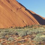 2025 E-Ticaret Trendleri: Dönüşüm Oranını Artıran 10 Taktik