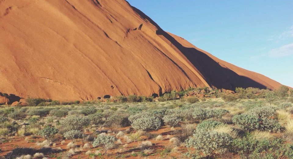 Freelance 2025 trendleri